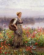 Daniel Ridgeway Knight The flower girl oil on canvas